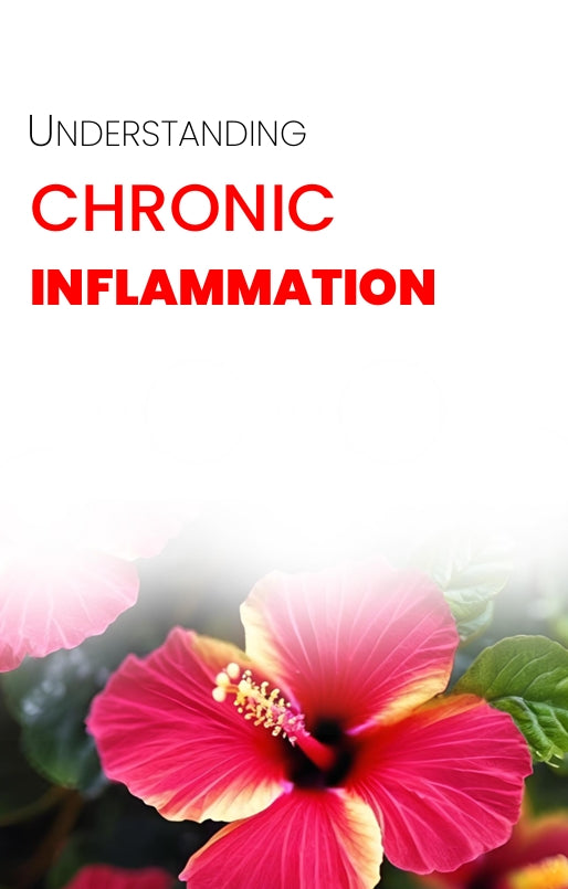 Understanding Chronic Inflammation eBook